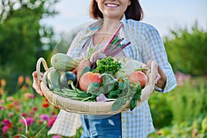 Close up basket of fresh raw organic vegetables in farmer hands