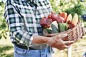 Close up of basket full of freshness vegetables