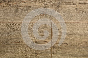 Close-up of bass-wood laminate floor covering of flaxen color photo