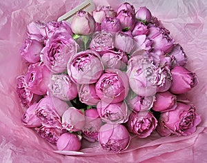 A close-up of a beautiful bouquet of pink peony roses.