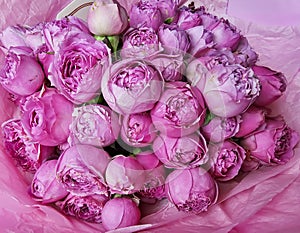 A close-up of a beautiful bouquet of pink peony roses.