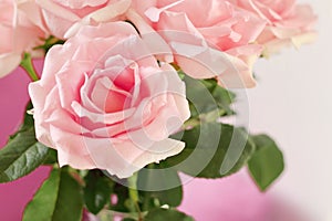 Close up of beautiful bouquet of pink roses in glass vase on table at living room with copy space