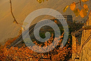 CLOSE UP: Beautiful fall colored forest surrounds golden lit Great Wall of China