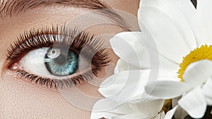 Close-up of beautiful female eye with perfect Eyelashes. Clean skin, fashion naturel make-up, long lashes. Good vision