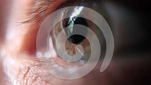 Close-up of a beautiful human eye with gray iris