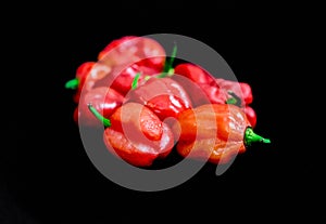 Close up of beautiful Nigerian pepper callled Atarodo isolated on Black Background. Red SCOTCH BONNET PEPPERS on black background