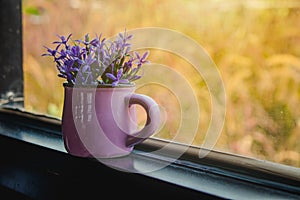 Close up beautiful purple flowers in steel vase or jar put on edge of window with sunlight.