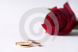 Close-up of a beautiful romantic red Rose with two wedding gold rings