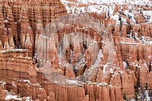 Close Up of beautiful snow covered mountains during the freezing winter period in Bryce  Canyon National Park, Utah, United States