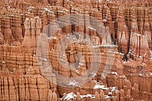 Close Up of beautiful snow covered mountains during the freezing winter period in Bryce  Canyon National Park, Utah, United States