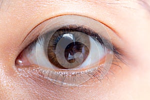 Close up of beautiful woman eye contact lens.