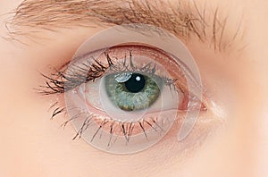 Close up of beauty woman eye on white background, Beautiful green woman eye