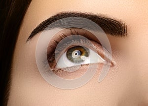 Close-up Beauty of Woman`s eye. smoky Eyes Makeup with brown Eyeshadows. Perfect strong Shape of Eyebrows