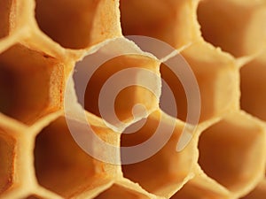 Close up of bee hive honey bee hexagonal cells