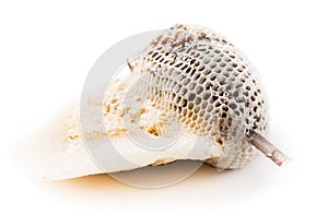 Close up of beehive isolated