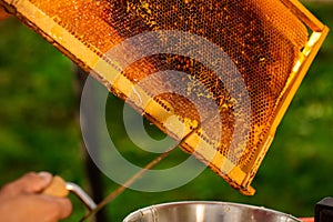 Close up of beekeeper hands cuts wax from honeycomb frame with a special knife into a bowl. Honey production