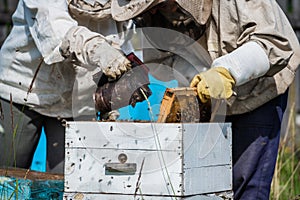 Close-up of beekeeper smoking a beehive honeycomb with fumigating smoke to place the frames. Fumigation. Beekeeping