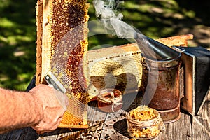 Close-up Beekeeper uncapping honeycomb with special beekeeping fork. Raw honey being harvested from bee hives. Beekeeping concept