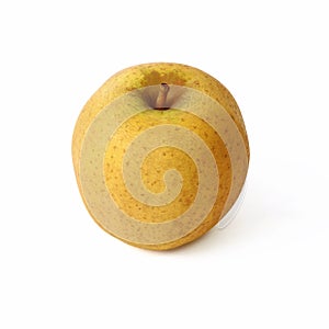 Close-up of a belchard apple