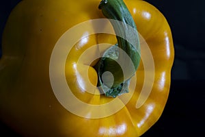 Close Up of a bell pepper