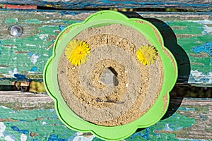 A close-up bench on a bench and a sieve filled with sand