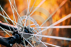 Close Up Bicycle Wheel. Spokes
