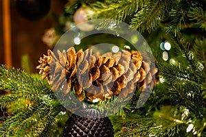 Close-up big cone on the Christmas tree