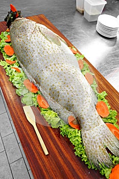 Close up big raw fish