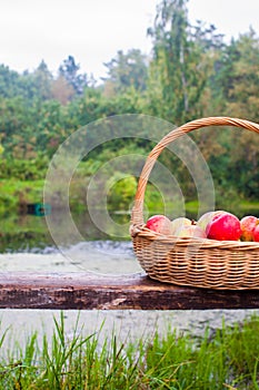 Close up of Big straw basket with red and yellow