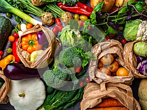 close up of bio food. Garden produce and harvested vegetable. Fresh farm vegetables Zero waste and eco friendly shopping with