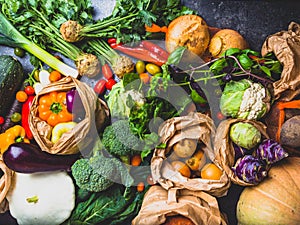 close up of bio food. Garden produce and harvested vegetable. Fresh farm vegetables Zero waste and eco friendly shopping with