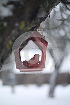Close-up of a bird feeder on a tree under the snow in the forest.