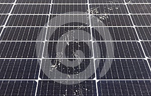 Bird footprint on Solar PV Panel Surface