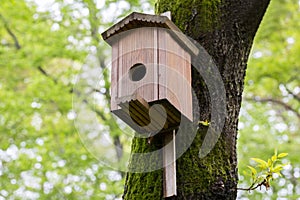 close-up Bird house on a tree. Wooden birdhouse, nesting box for songbirds in park.