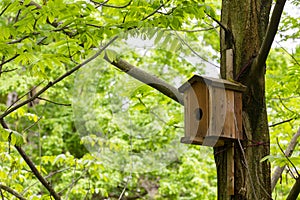 close-up Bird house on a tree. Wooden birdhouse, nesting box for songbirds in park.