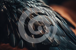 a close up of a bird\'s feathers with a brown background
