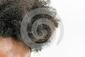 Close up of Black African American Woman`s Kinky curly hair in natural state isolated on white background for Black healthy hair c
