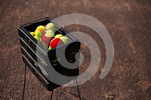 Close-up of black basket with tennis balls on court.