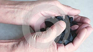 Close-up of black coal in the hands of a worker. Work in the mine theme. Miner holds coal in his hands. Extraction of natural mine