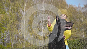 Close-up of black doberman looking up at his little owner`s hand. Cute Caucasian girl in yellow coat and mustard hat