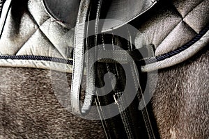 Close up of black leather saddle on horse back
