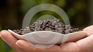 Close up black pepper seeds or peppercorns dried seeds of piper nigrum