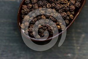 Close up black peppercorn in spoon dark background