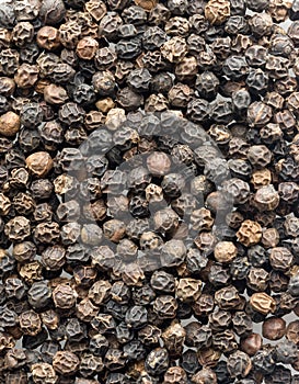 Close-up of black peppercorns