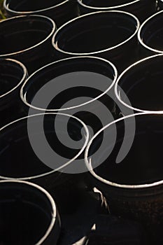 Close-up of black plastic pots placed symmetrically lit from above