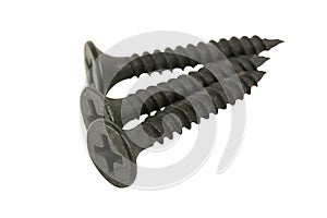 Close up black screw isolated on white background with clipping path