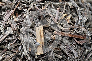 Close up of black tea leaves