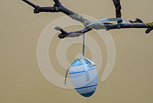 Close up of blue easter egg on a branch or twig of a fruit tree in the garden on bright yellow plain background