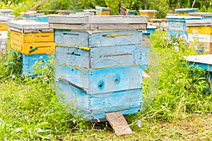 Close-up of a blue hive among a large number of colorful hives m