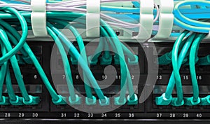 Close up of blue network cables connected to patch panel